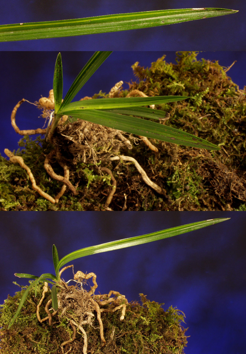 ������ ū������ �� �� �ֽ��ϴ�.