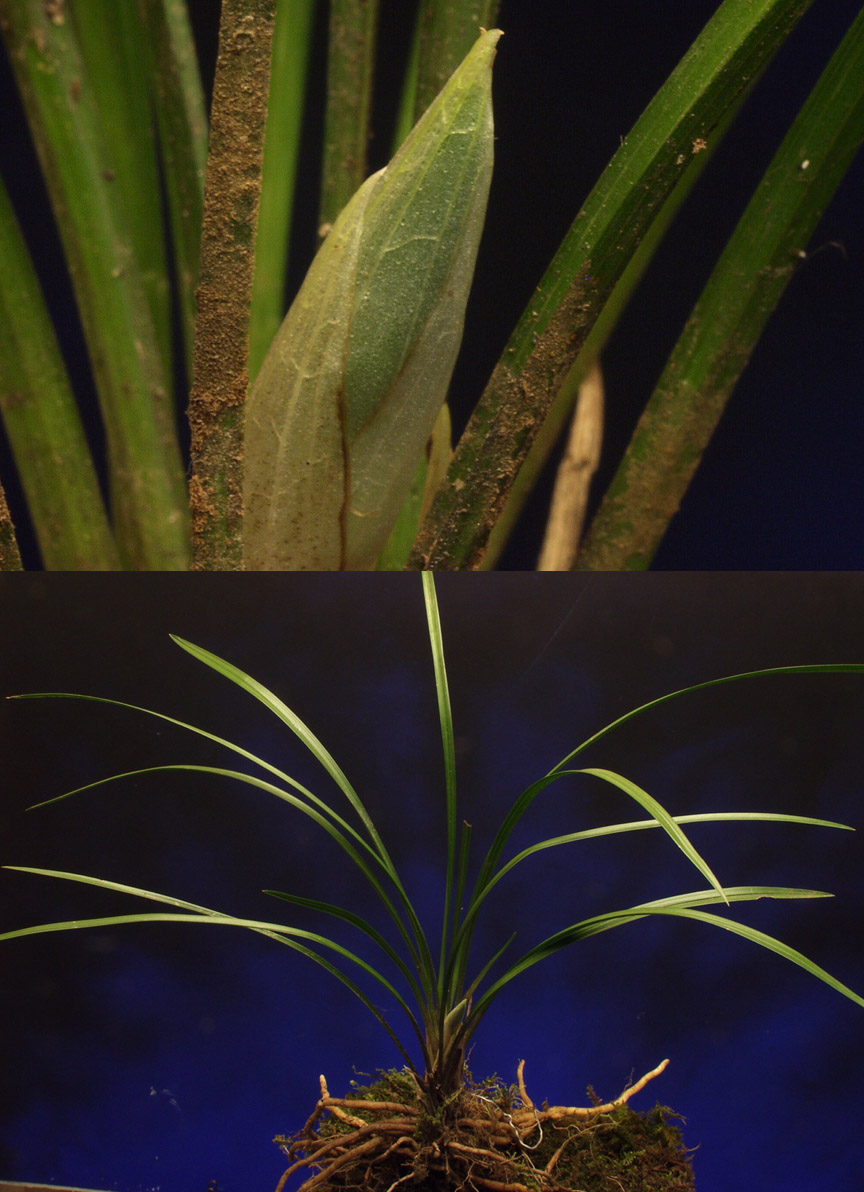 ������ ū������ �� �� �ֽ��ϴ�.