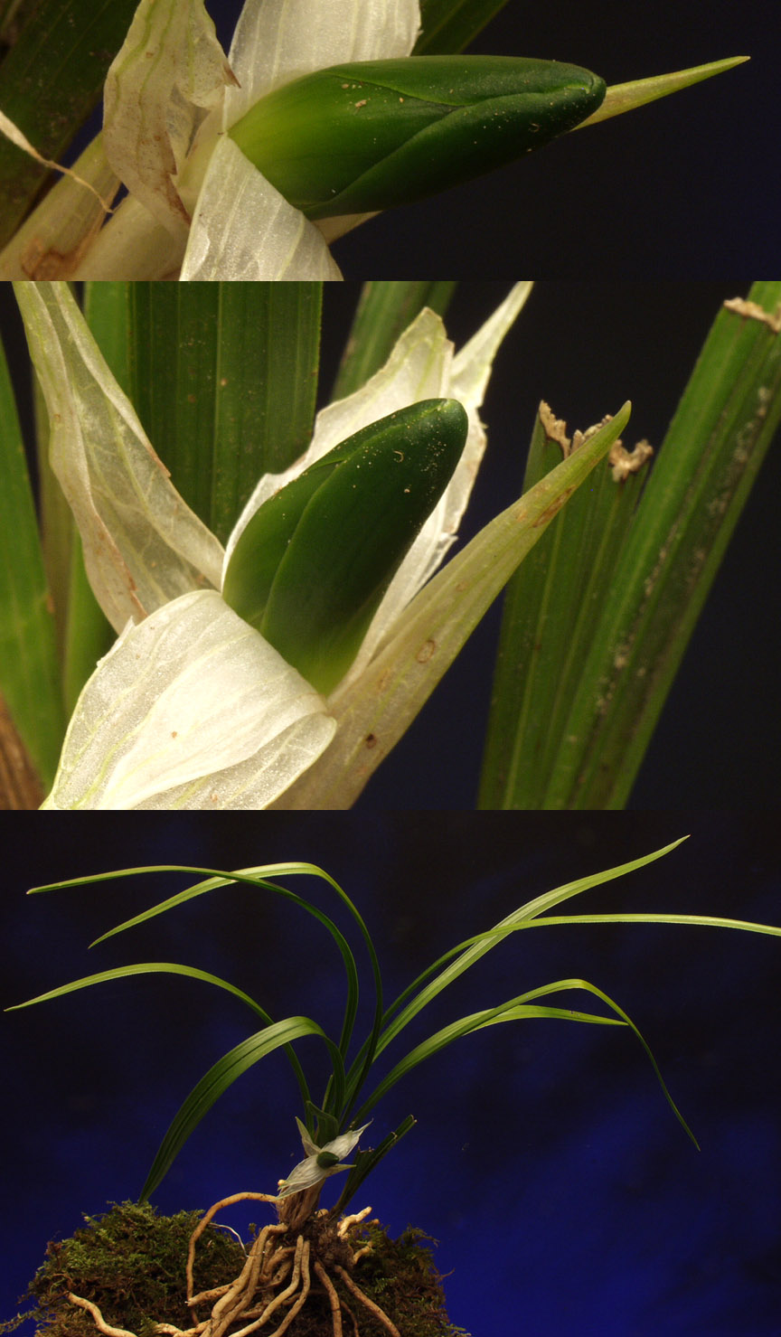 ������ ū������ �� �� �ֽ��ϴ�.