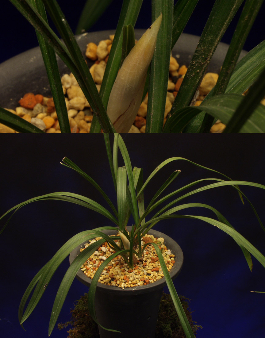 ������ ū������ �� �� �ֽ��ϴ�.