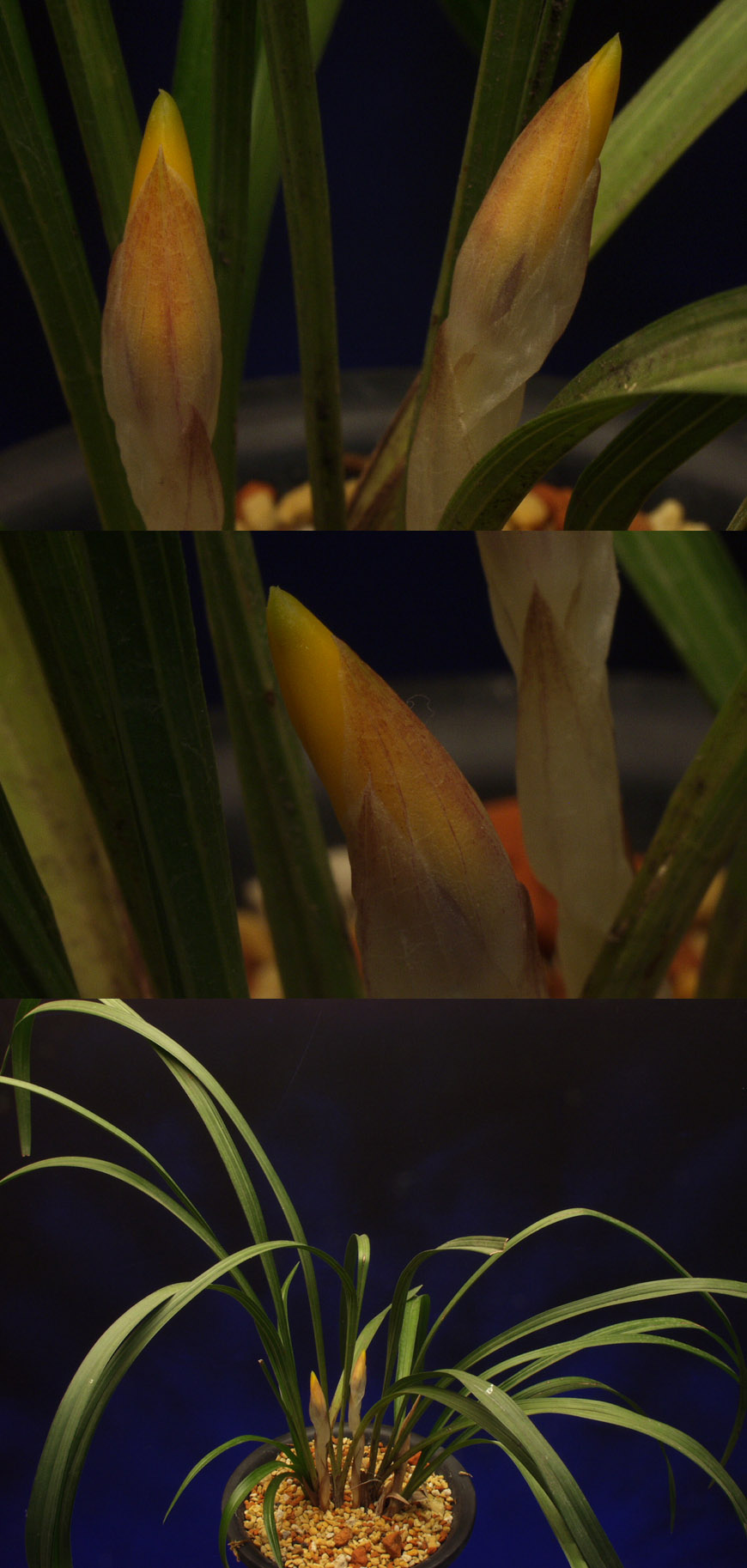 ������ ū������ �� �� �ֽ��ϴ�.