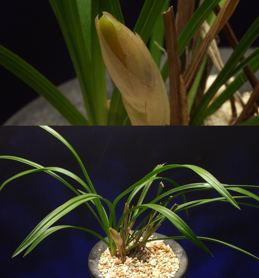 ������ ū������ �� �� �ֽ��ϴ�.