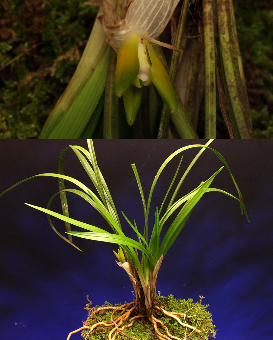 ������ ū������ �� �� �ֽ��ϴ�.