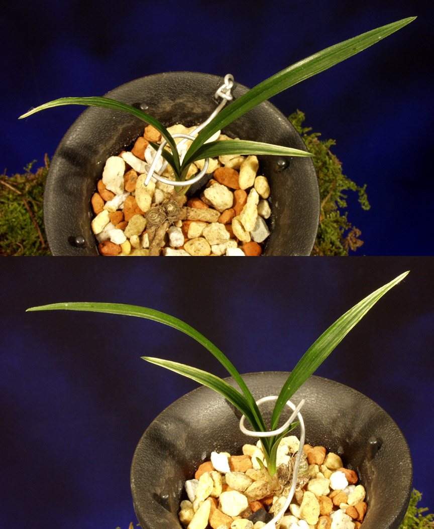 ������ ū������ �� �� �ֽ��ϴ�.