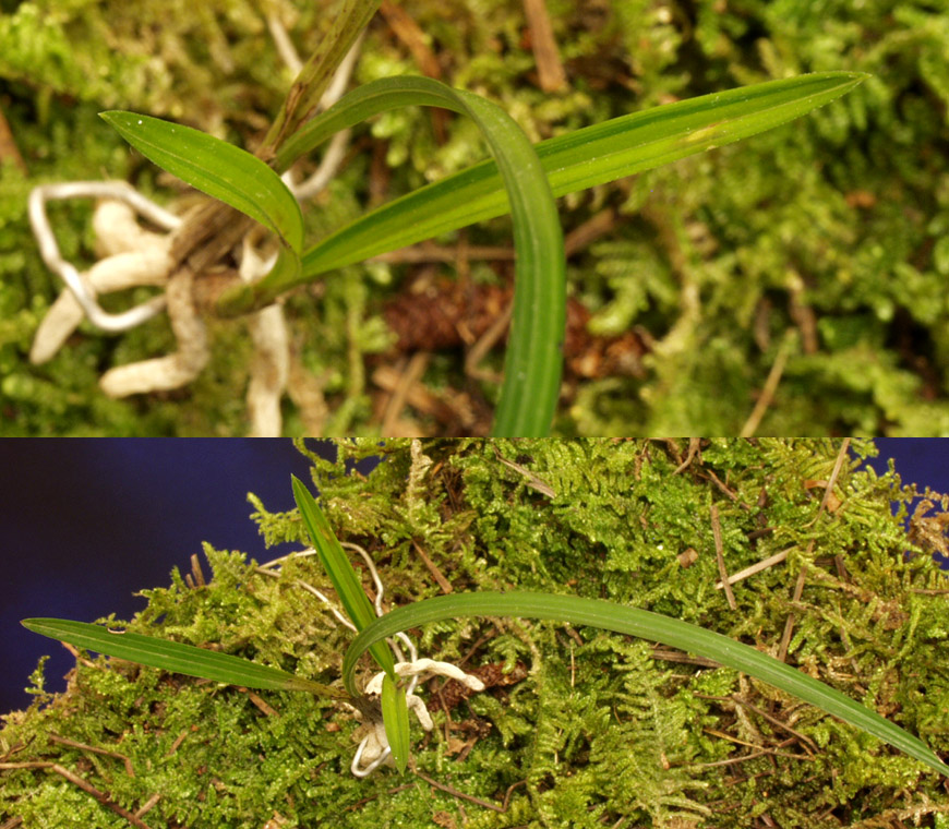 ������ ū������ �� �� �ֽ��ϴ�.