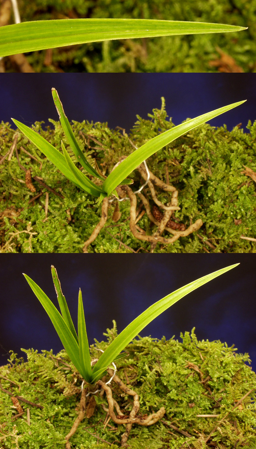 ������ ū������ �� �� �ֽ��ϴ�.