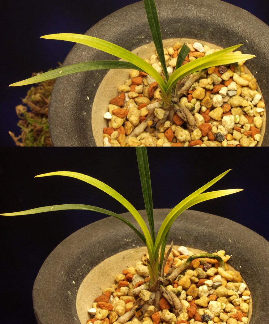 ������ ū������ �� �� �ֽ��ϴ�.