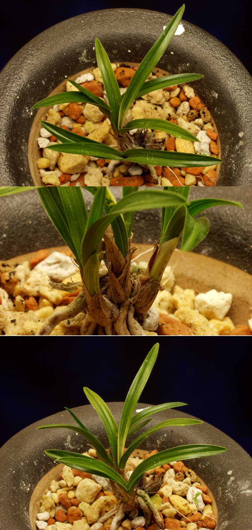 ������ ū������ �� �� �ֽ��ϴ�.