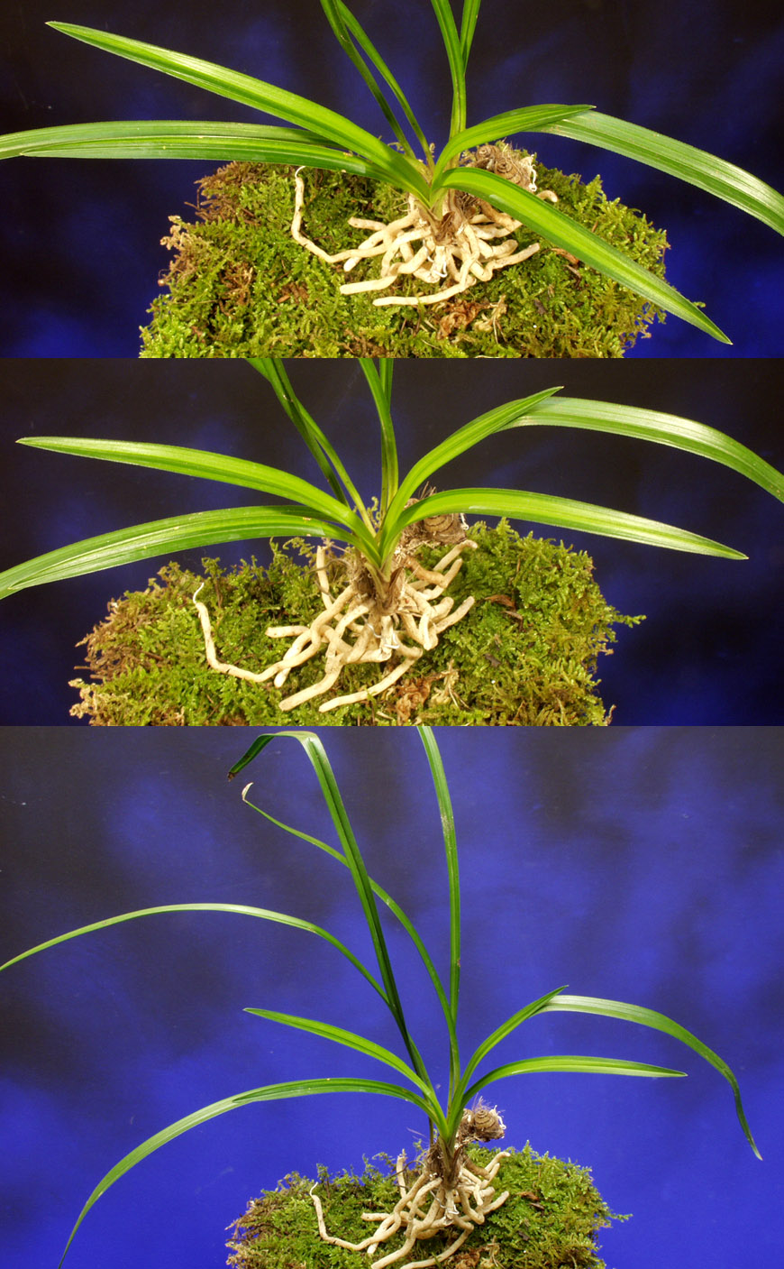 ������ ū������ �� �� �ֽ��ϴ�.