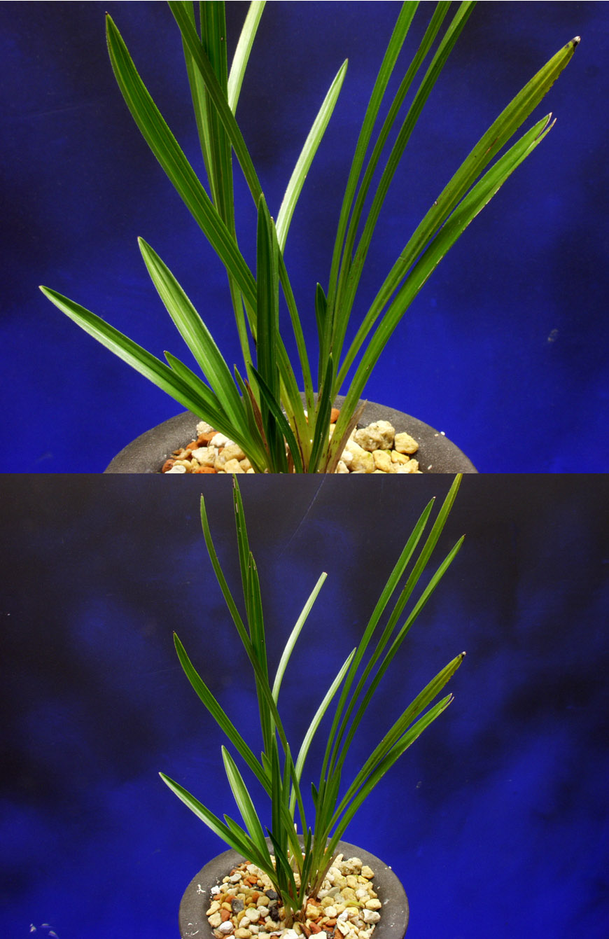 ������ ū������ �� �� �ֽ��ϴ�.