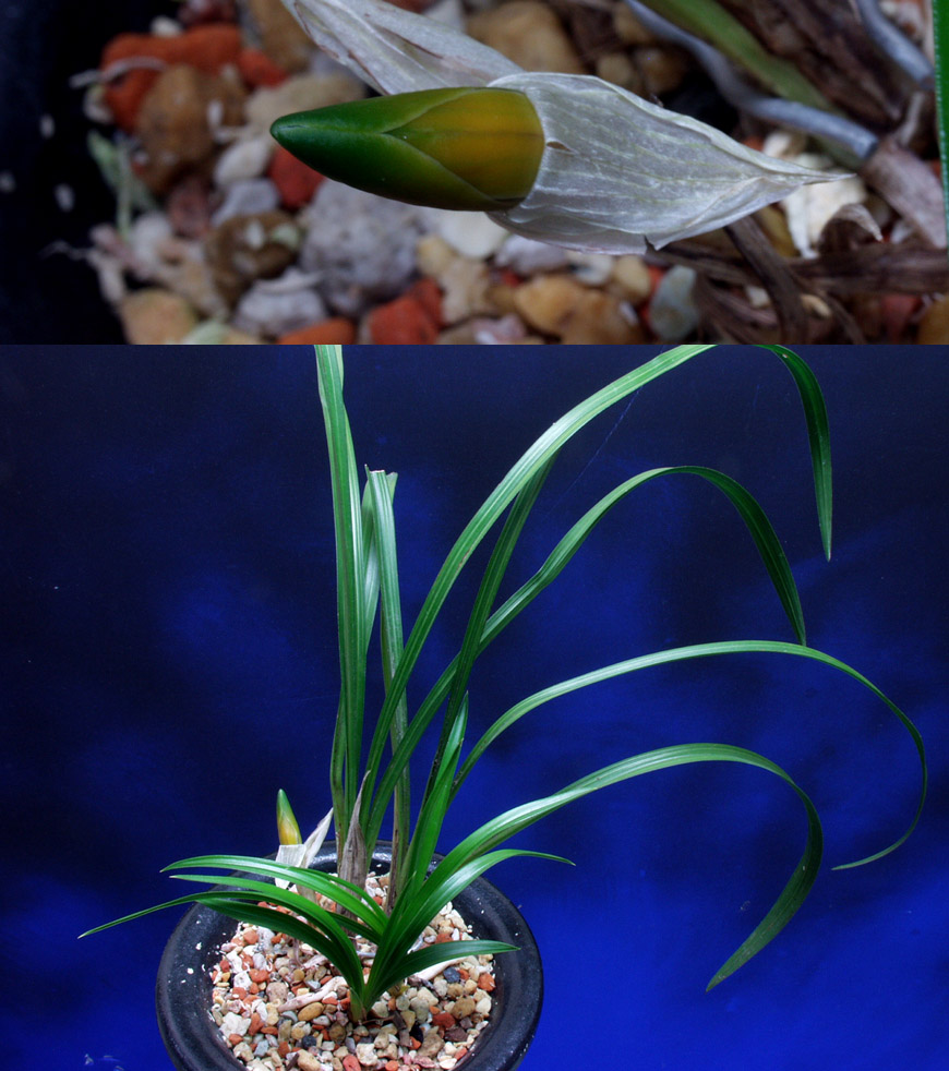 ������ ū������ �� �� �ֽ��ϴ�.