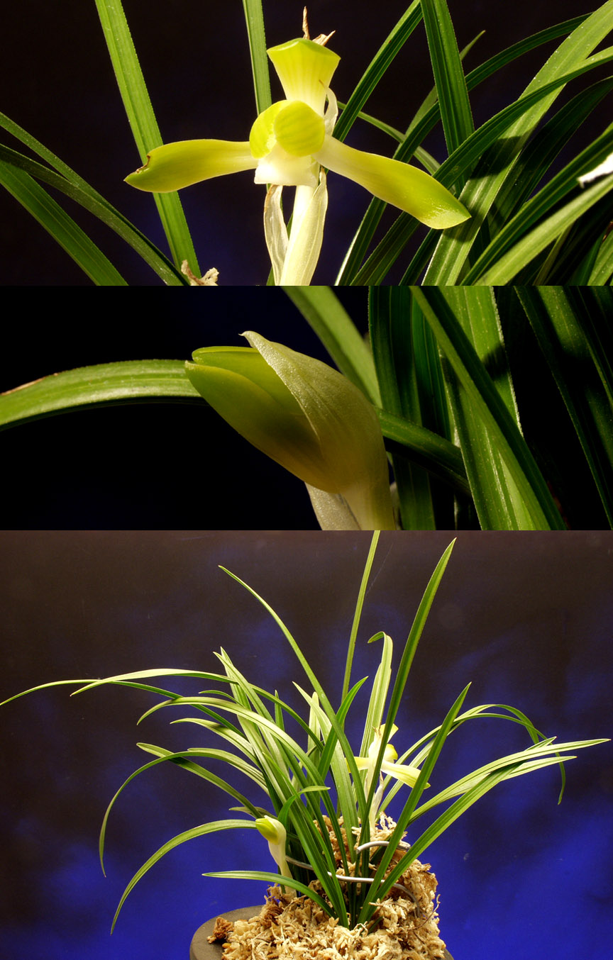 ������ ū������ �� �� �ֽ��ϴ�.