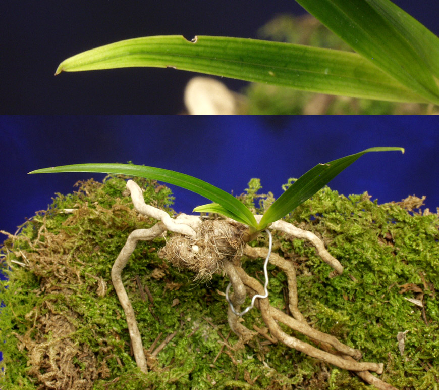 ������ ū������ �� �� �ֽ��ϴ�.