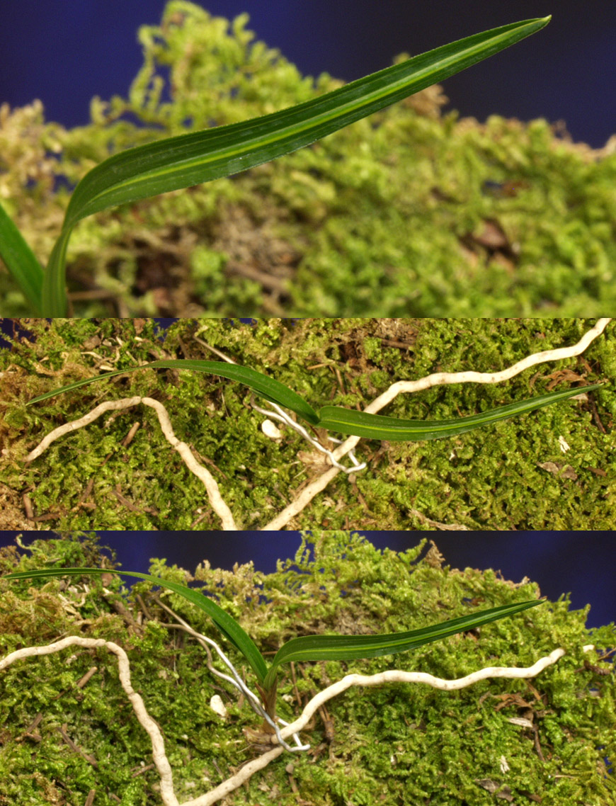 ������ ū������ �� �� �ֽ��ϴ�.