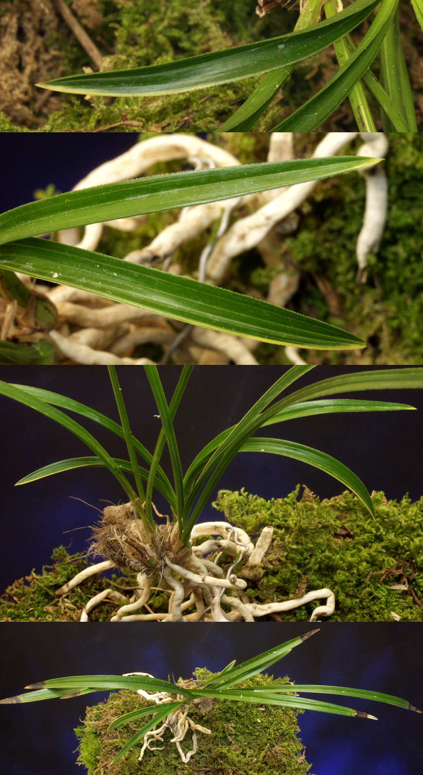 ������ ū������ �� �� �ֽ��ϴ�.