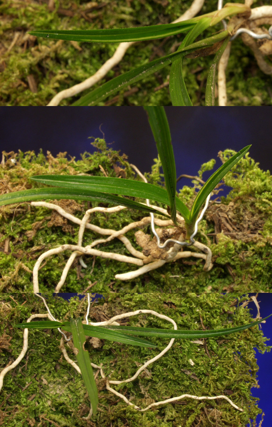 ������ ū������ �� �� �ֽ��ϴ�.