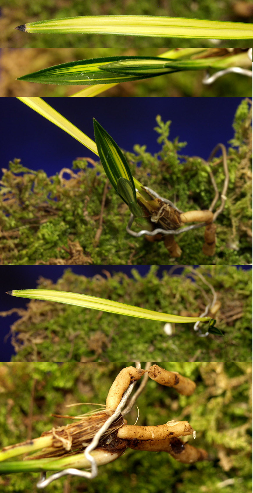 ������ ū������ �� �� �ֽ��ϴ�.