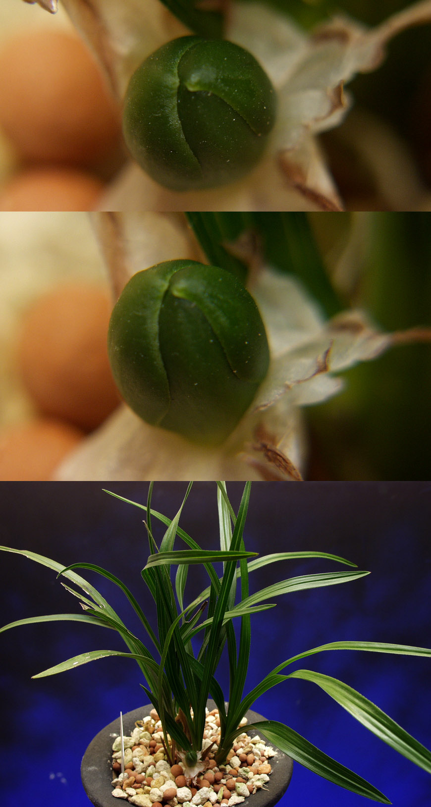 ������ ū������ �� �� �ֽ��ϴ�.