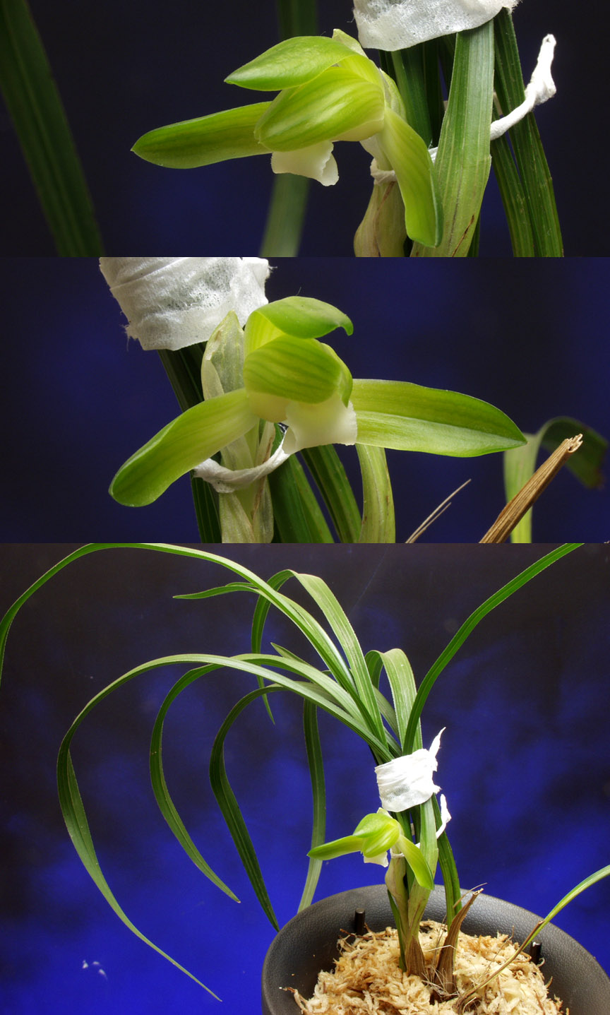 ������ ū������ �� �� �ֽ��ϴ�.