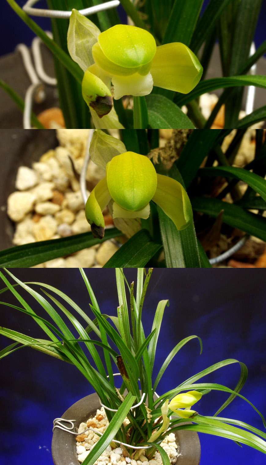 ������ ū������ �� �� �ֽ��ϴ�.