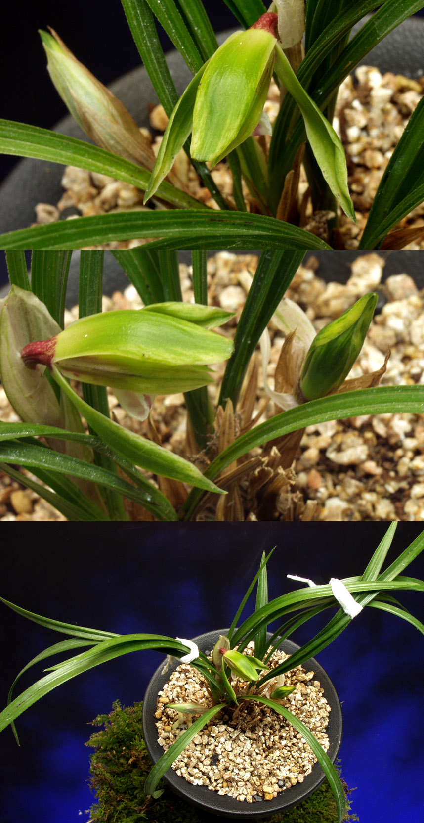 ������ ū������ �� �� �ֽ��ϴ�.