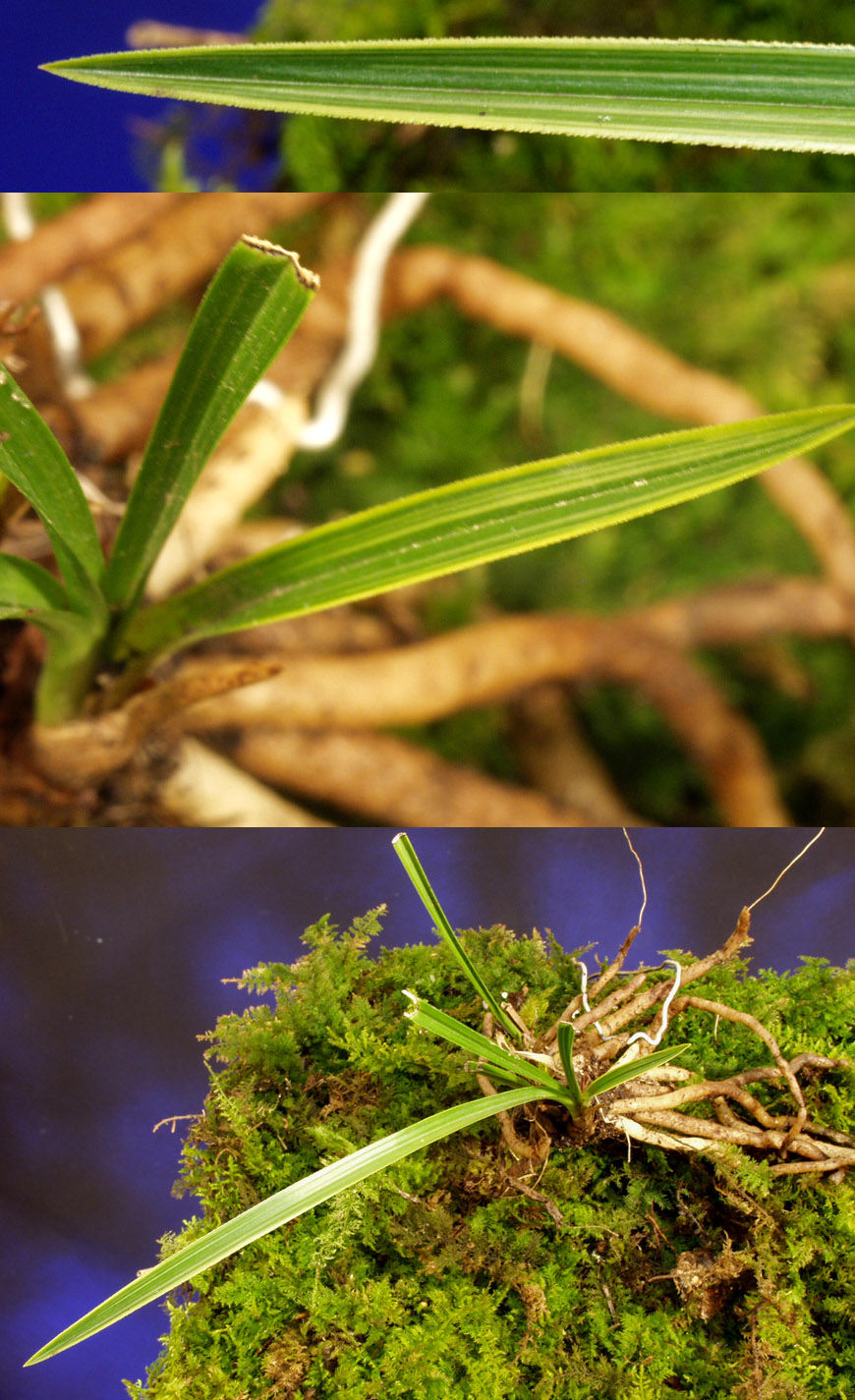 ������ ū������ �� �� �ֽ��ϴ�.