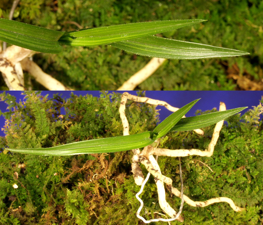 ������ ū������ �� �� �ֽ��ϴ�.