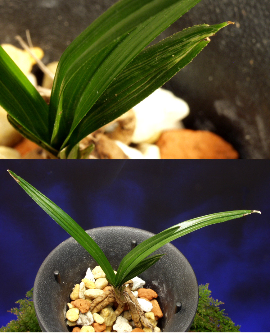 ������ ū������ �� �� �ֽ��ϴ�.