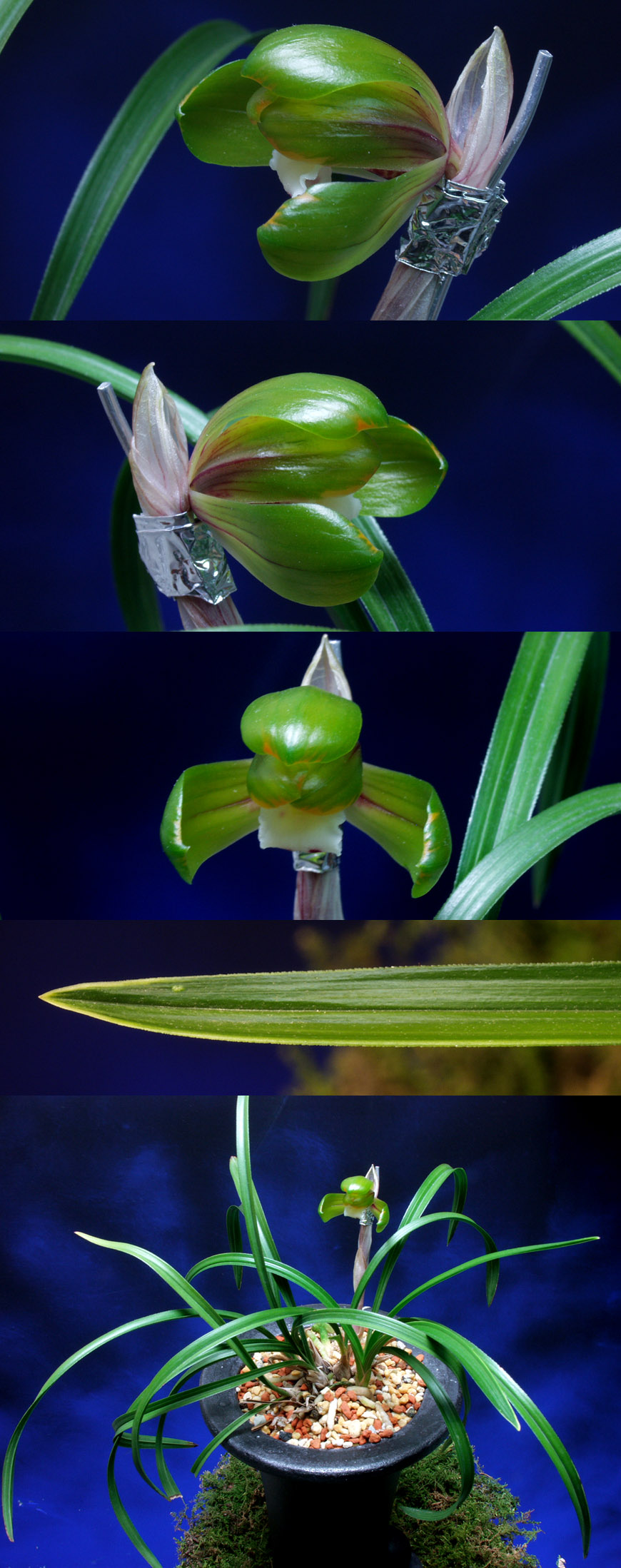 ������ ū������ �� �� �ֽ��ϴ�.