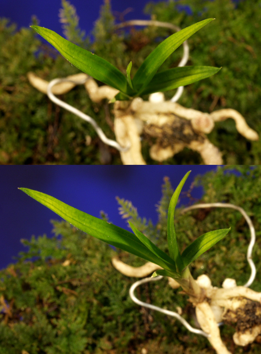 ������ ū������ �� �� �ֽ��ϴ�.