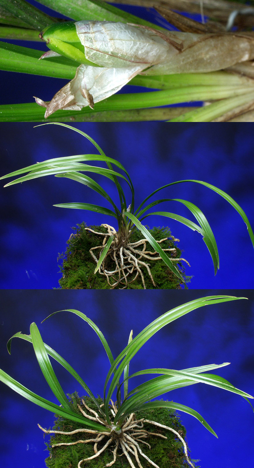 ������ ū������ �� �� �ֽ��ϴ�.