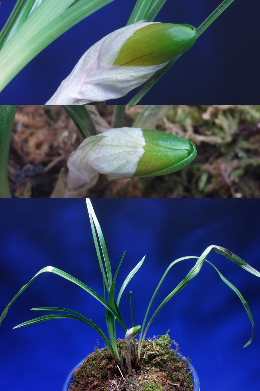 ������ ū������ �� �� �ֽ��ϴ�.