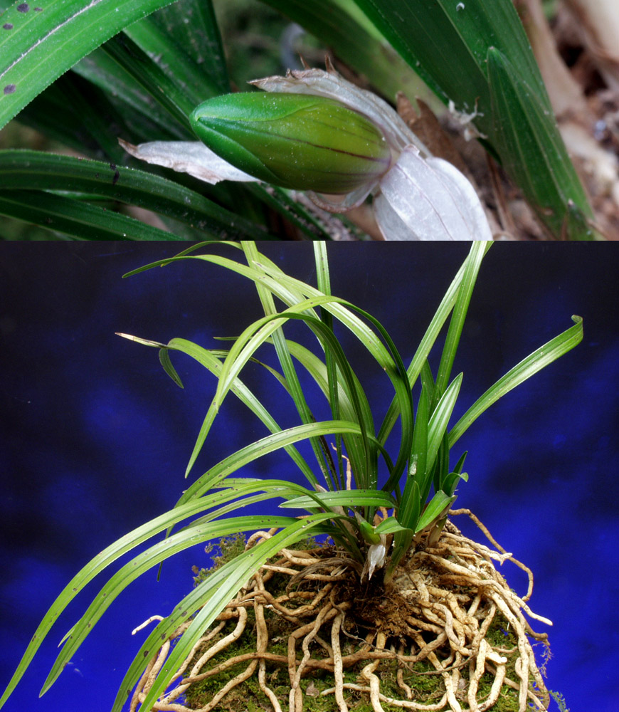 ������ ū������ �� �� �ֽ��ϴ�.