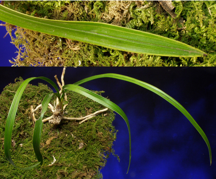 ������ ū������ �� �� �ֽ��ϴ�.