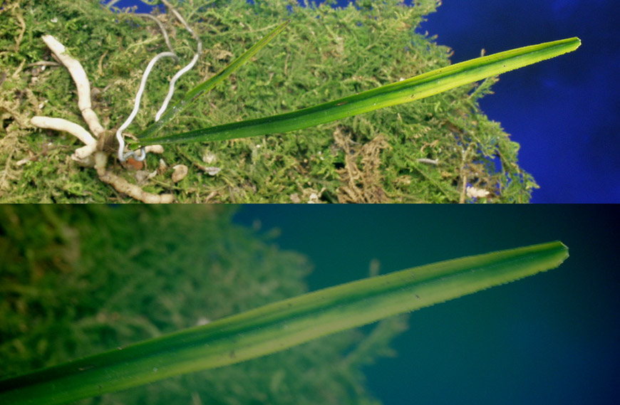 ������ ū������ �� �� �ֽ��ϴ�.