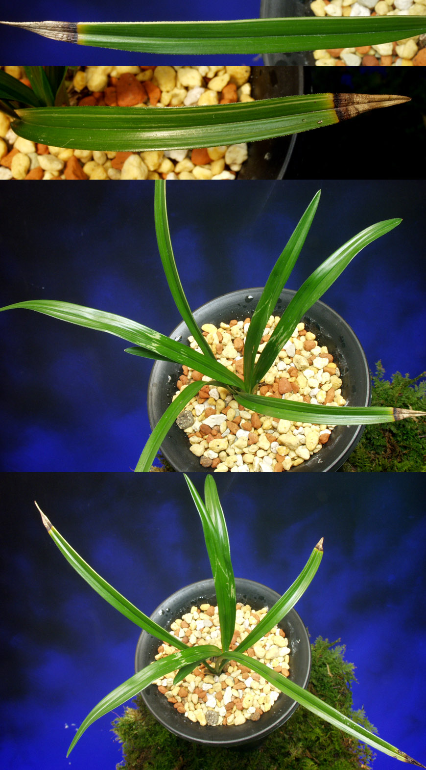 ������ ū������ �� �� �ֽ��ϴ�.