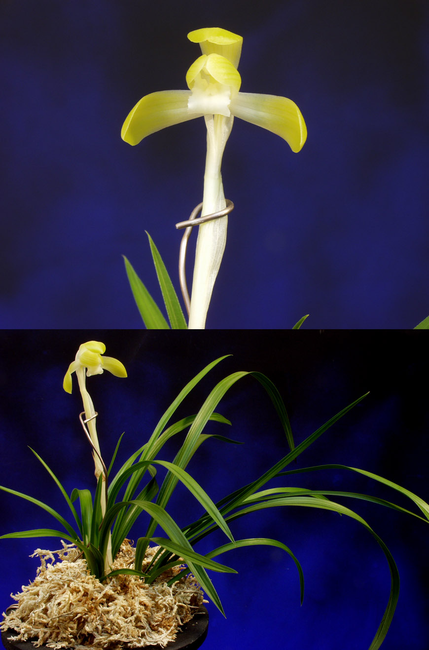 ������ ū������ �� �� �ֽ��ϴ�.