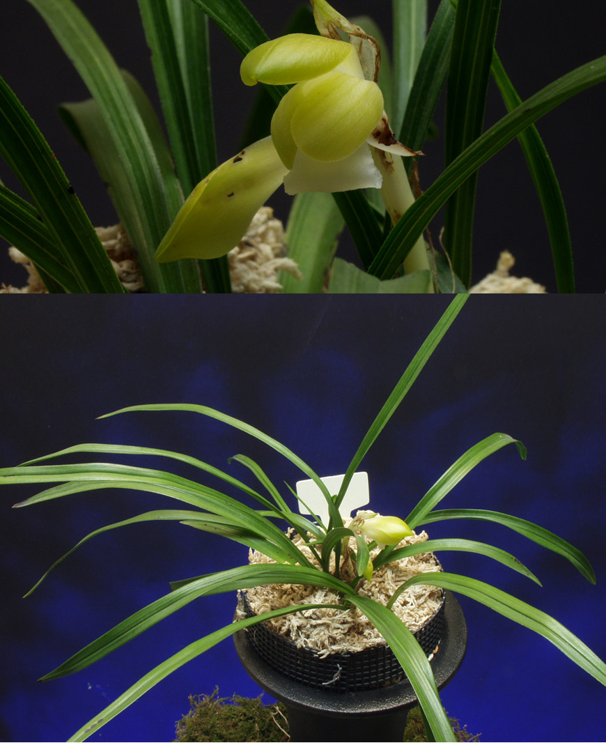 ������ ū������ �� �� �ֽ��ϴ�.