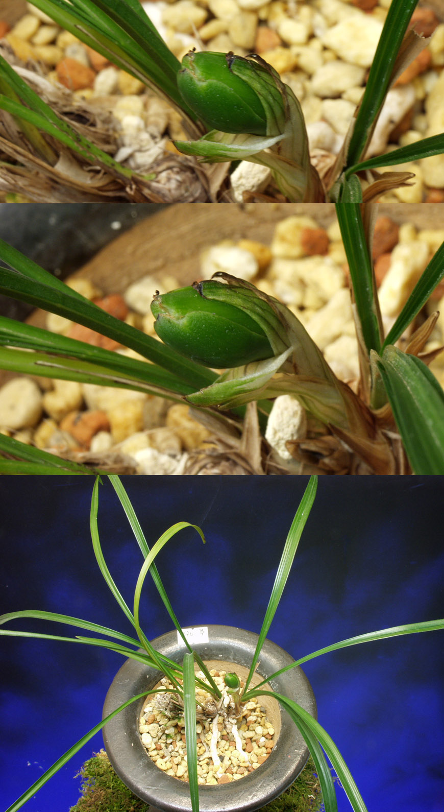 ������ ū������ �� �� �ֽ��ϴ�.