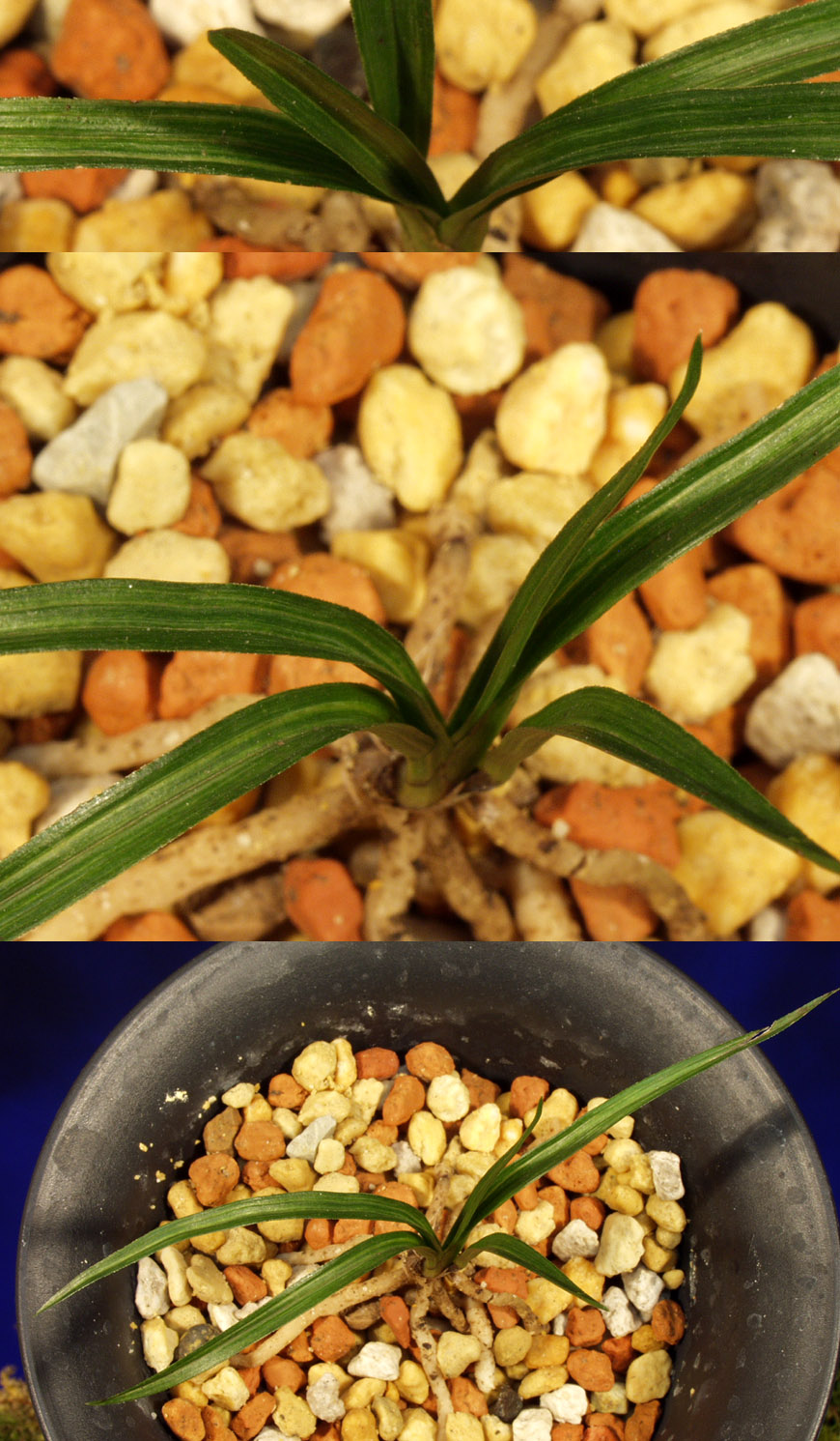 ������ ū������ �� �� �ֽ��ϴ�.