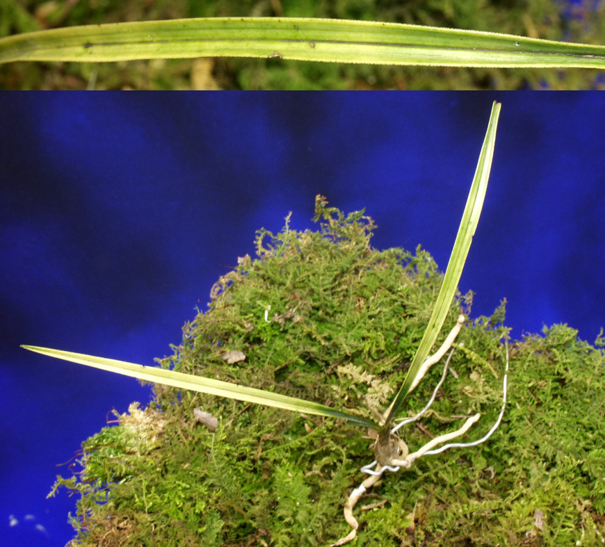 ������ ū������ �� �� �ֽ��ϴ�.