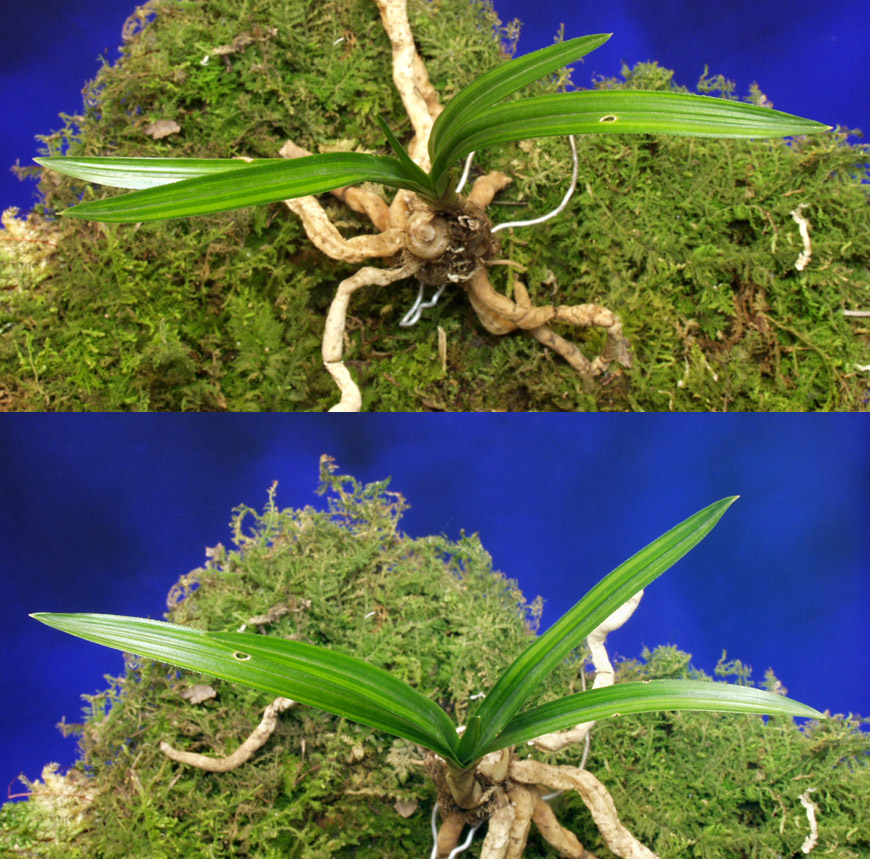 ������ ū������ �� �� �ֽ��ϴ�.