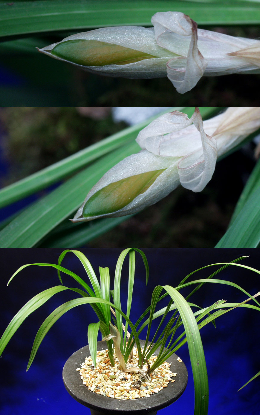 ������ ū������ �� �� �ֽ��ϴ�.