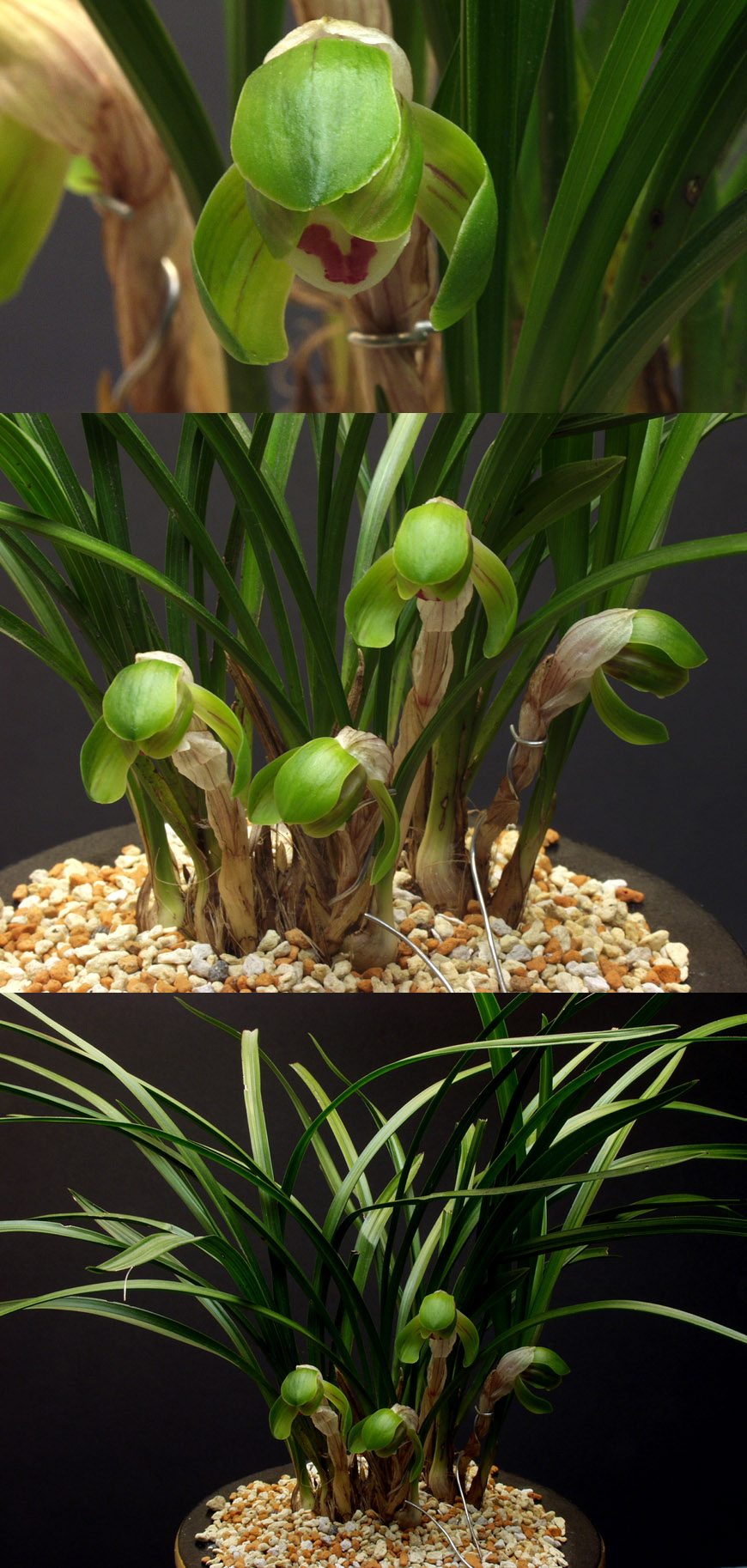 ������ ū������ �� �� �ֽ��ϴ�.