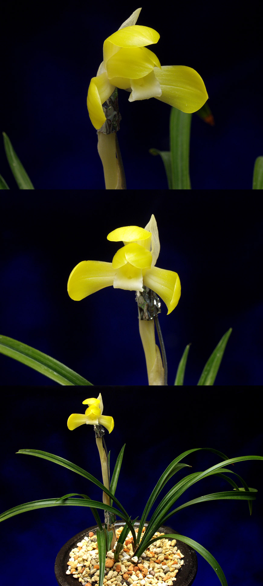 ������ ū������ �� �� �ֽ��ϴ�.