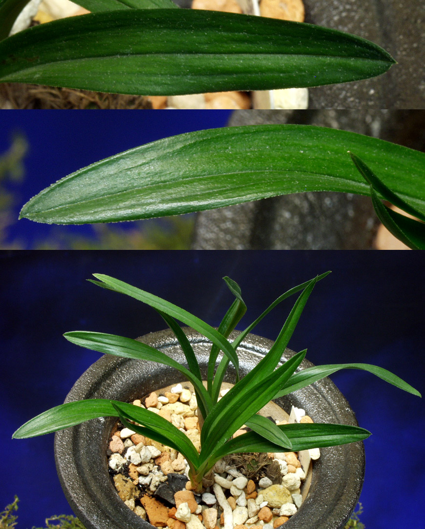 ������ ū������ �� �� �ֽ��ϴ�.