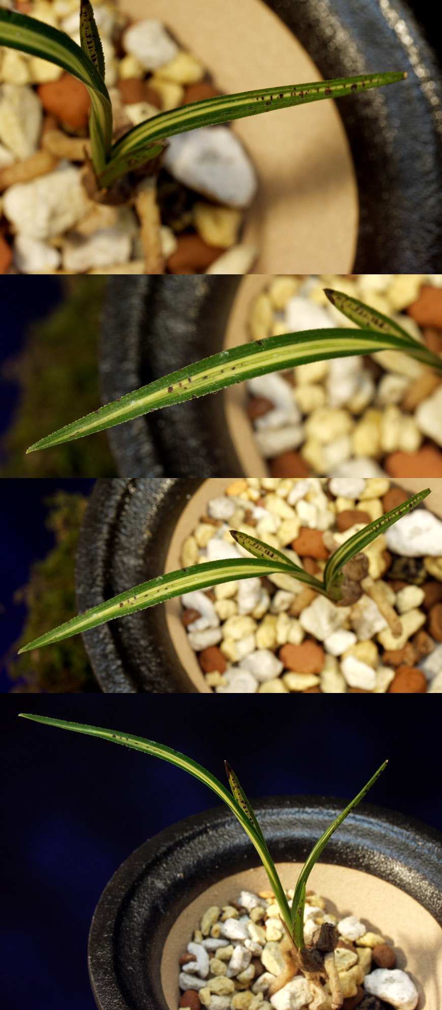 ������ ū������ �� �� �ֽ��ϴ�.