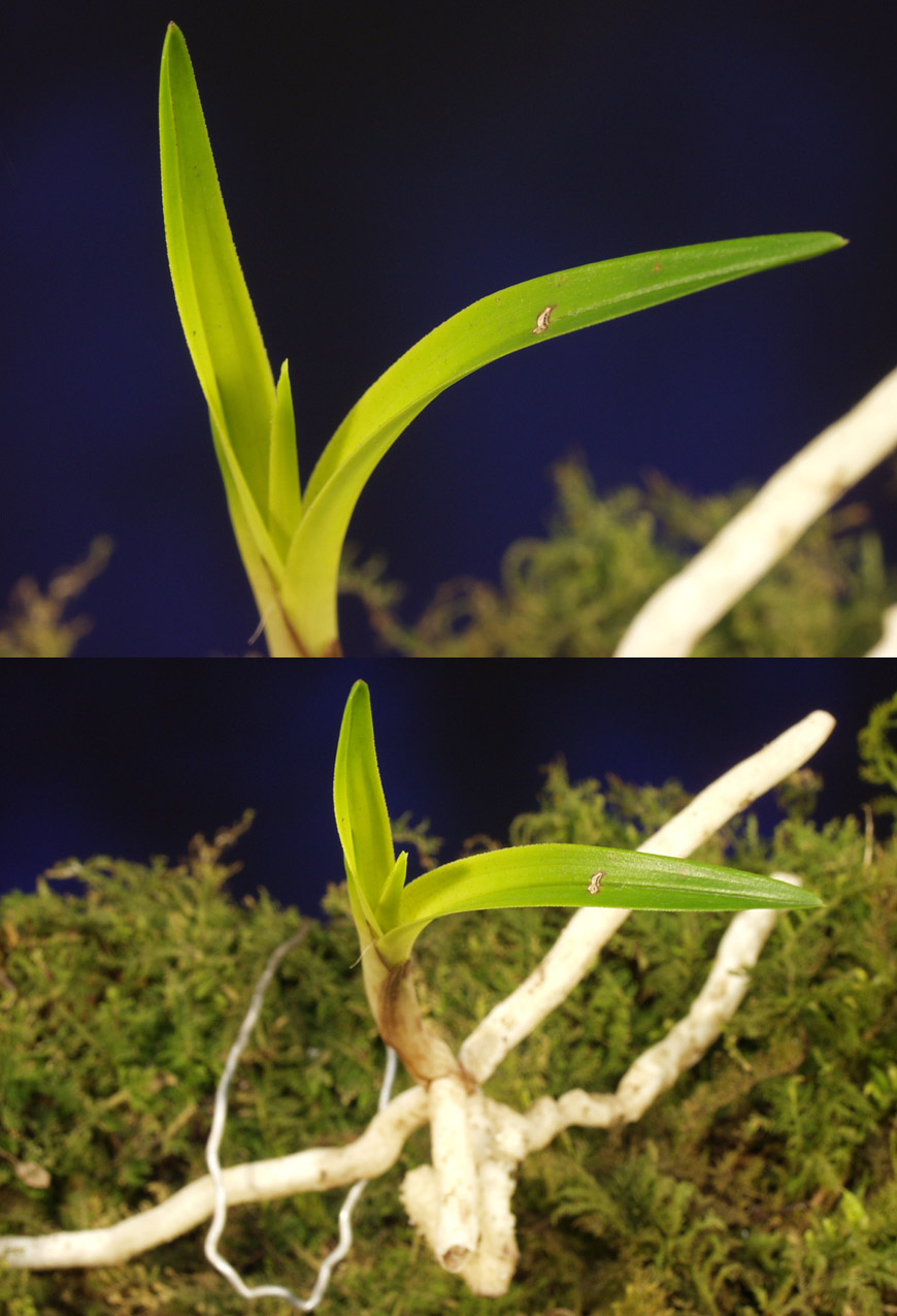 ������ ū������ �� �� �ֽ��ϴ�.