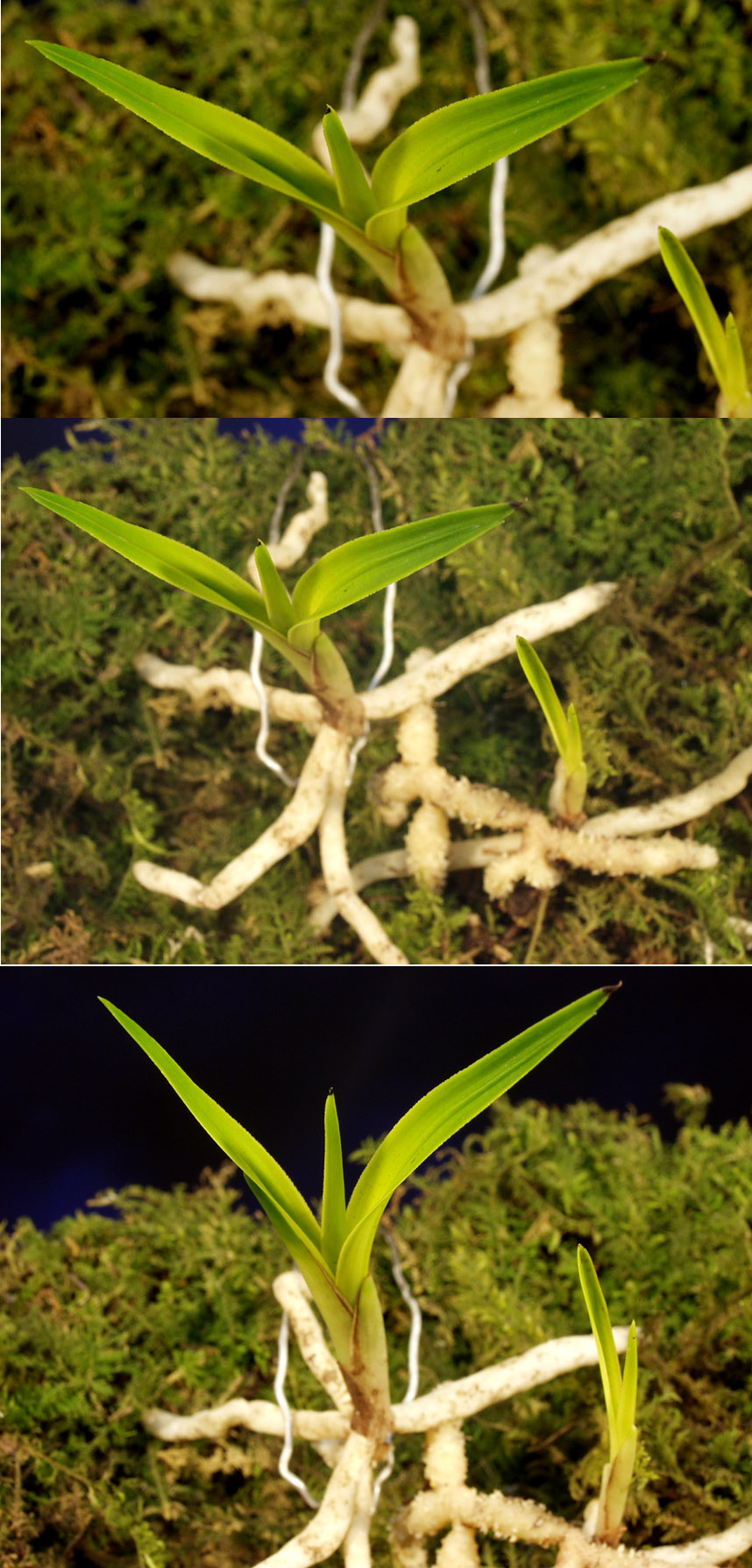 ������ ū������ �� �� �ֽ��ϴ�.