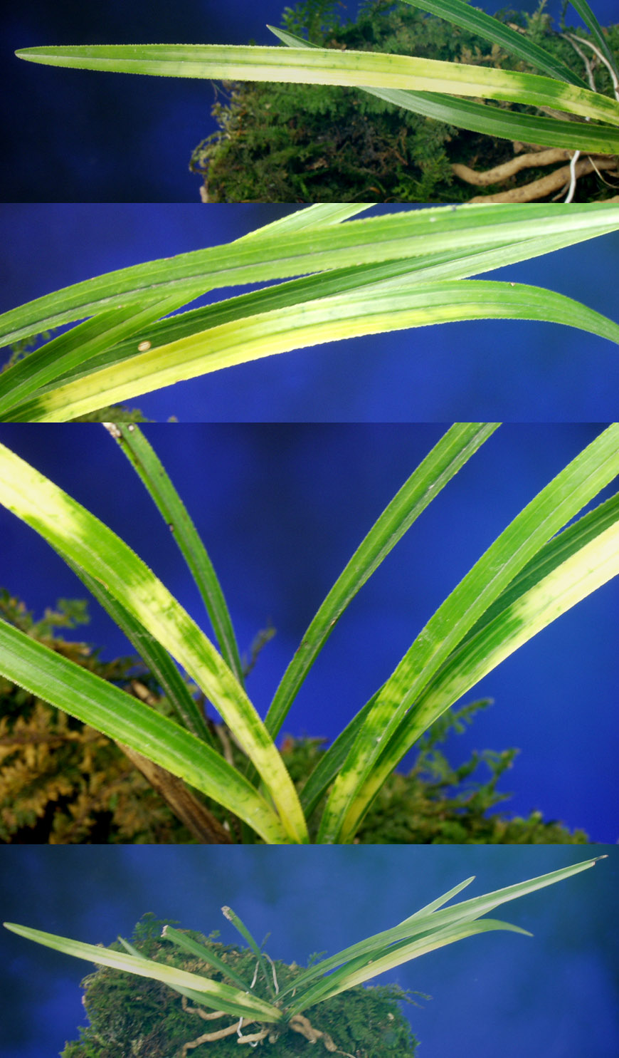 ������ ū������ �� �� �ֽ��ϴ�.